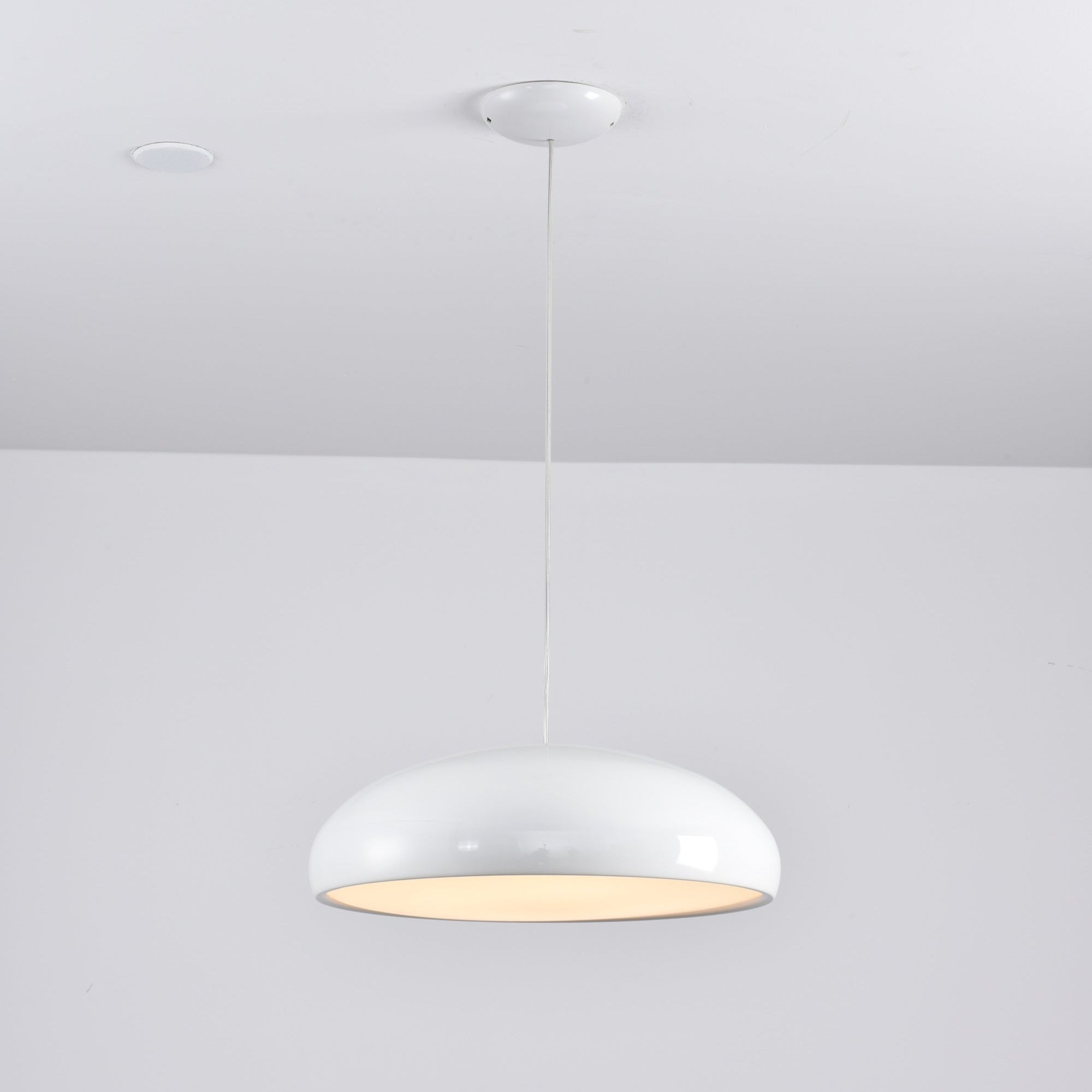 Renaraine Minimalist Pendant Lamp