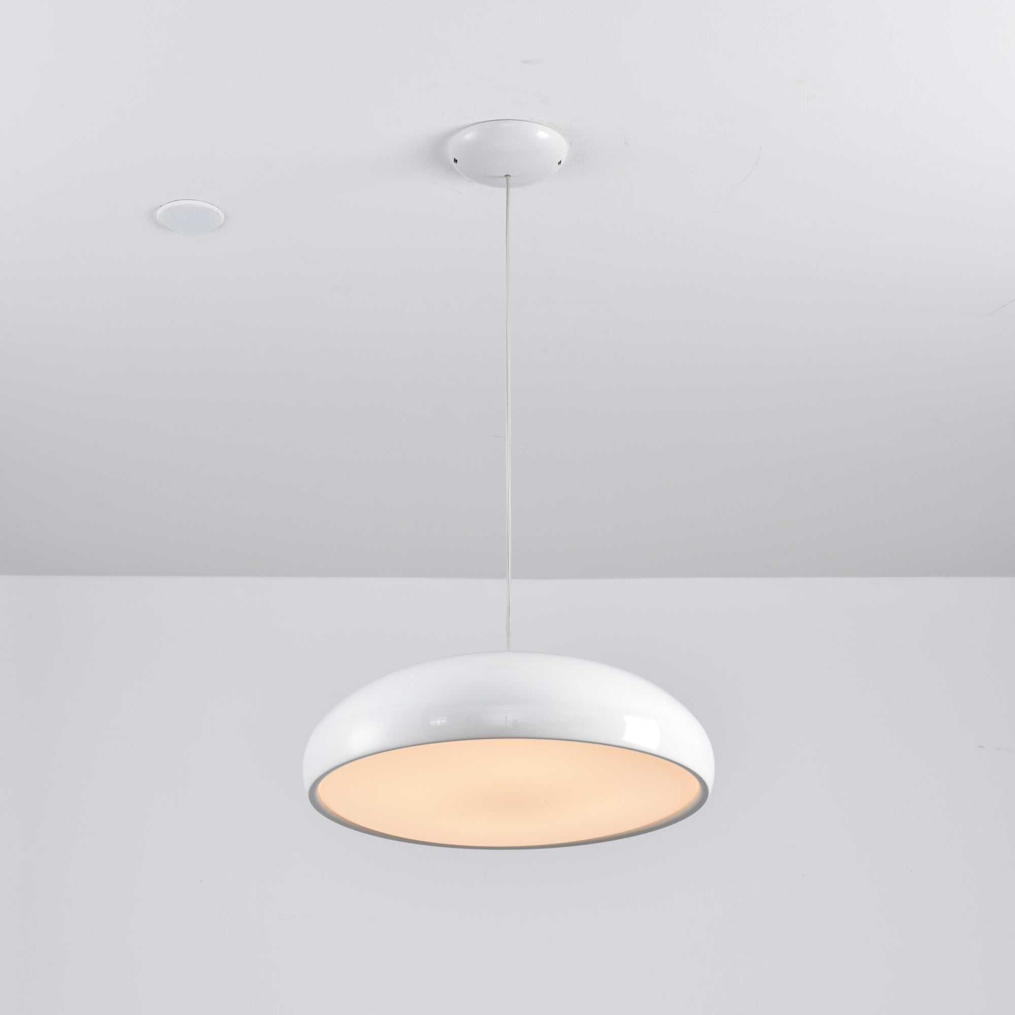 Renaraine Minimalist Pendant Lamp
