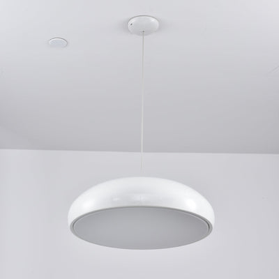 Renaraine Minimalist Pendant Lamp