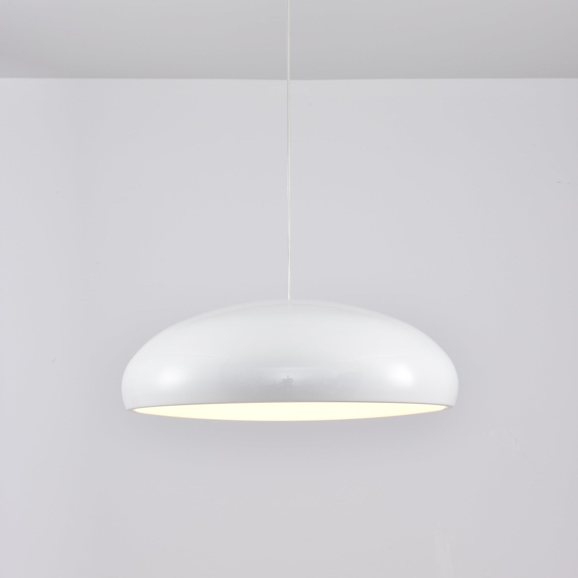 Renaraine Minimalist Pendant Lamp