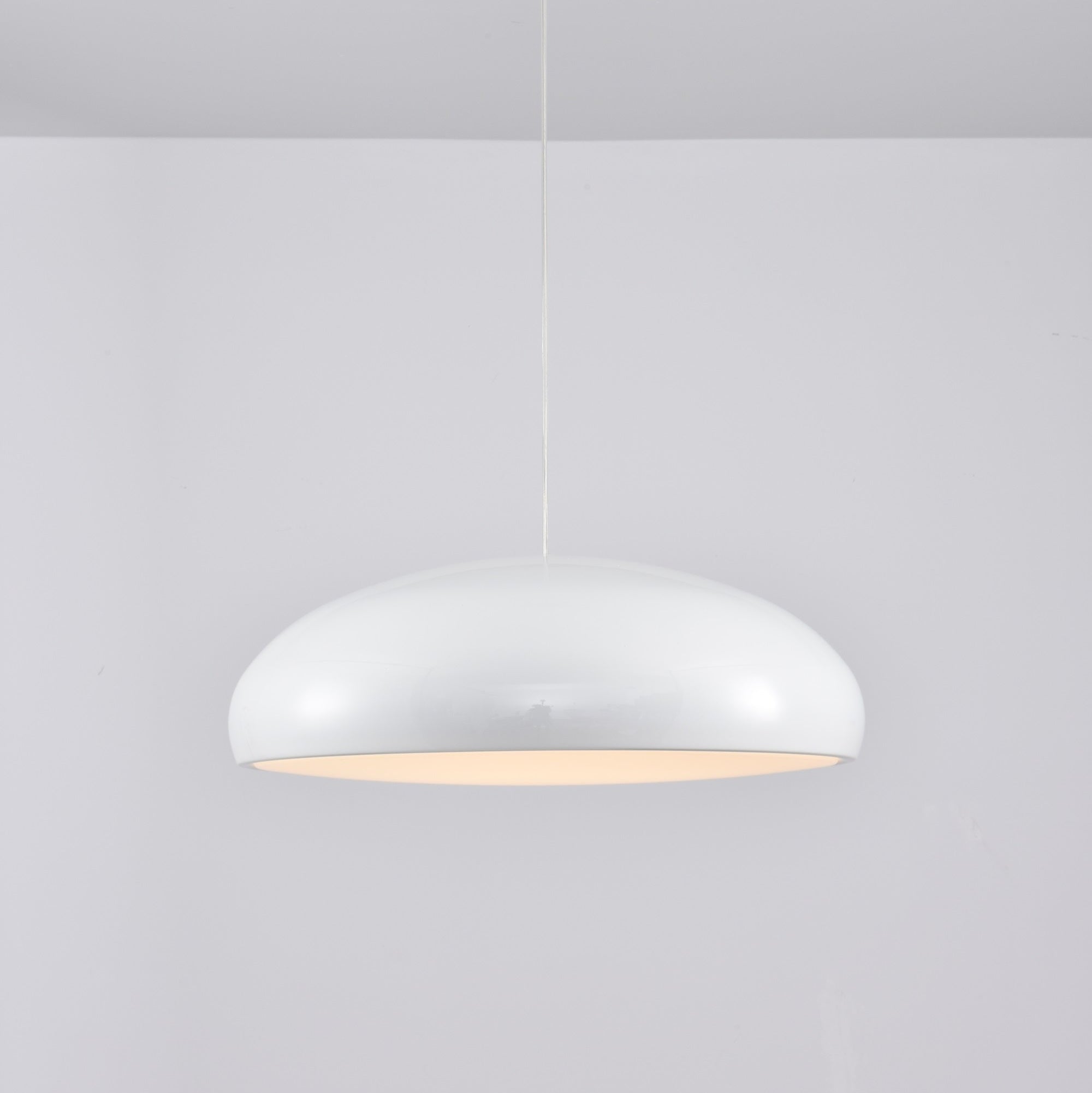 Renaraine Minimalist Pendant Lamp