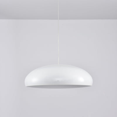 Renaraine Minimalist Pendant Lamp