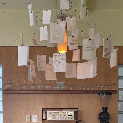 Luninena Paper Chandelier