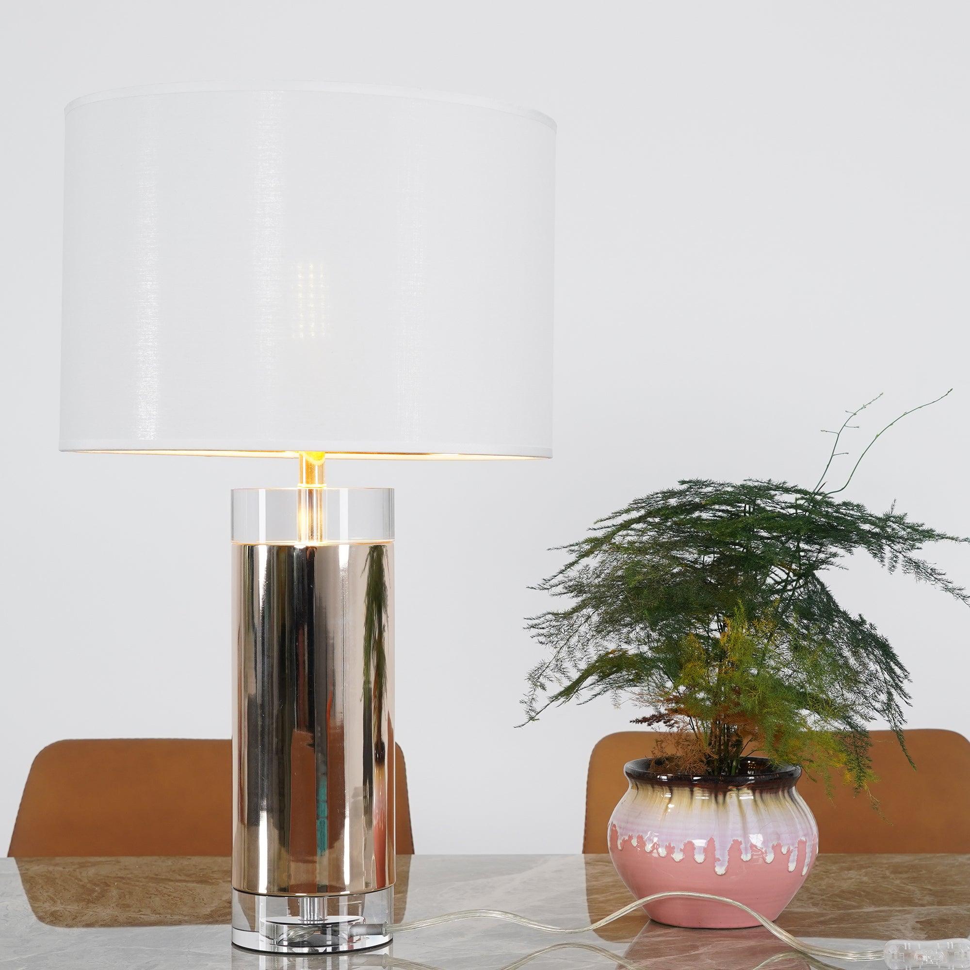 Reneleria Modern Table Lamp