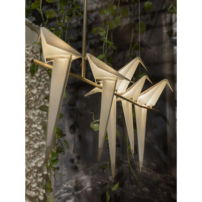 Ciririssa Chandelier
