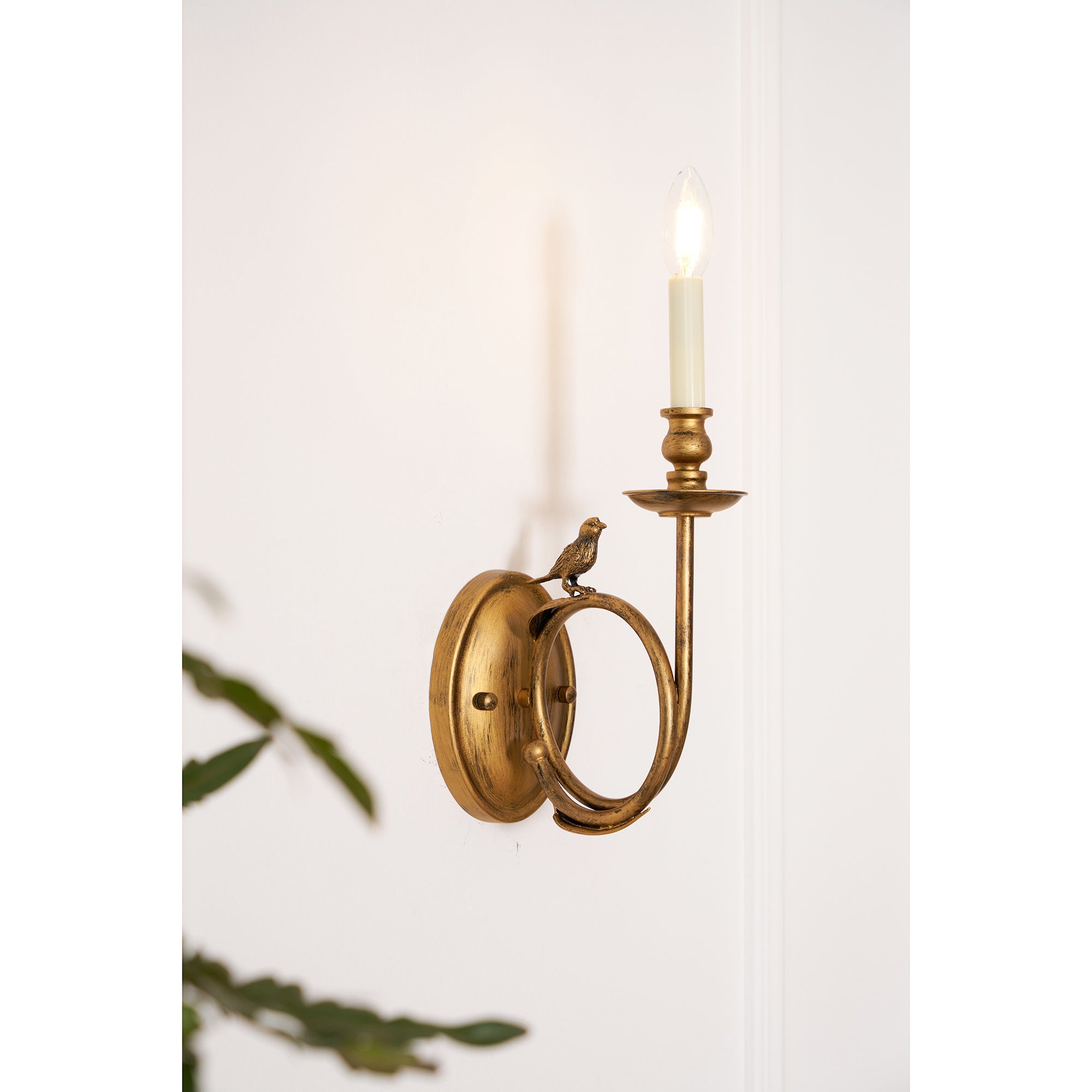 Viraearia Wall Lamp