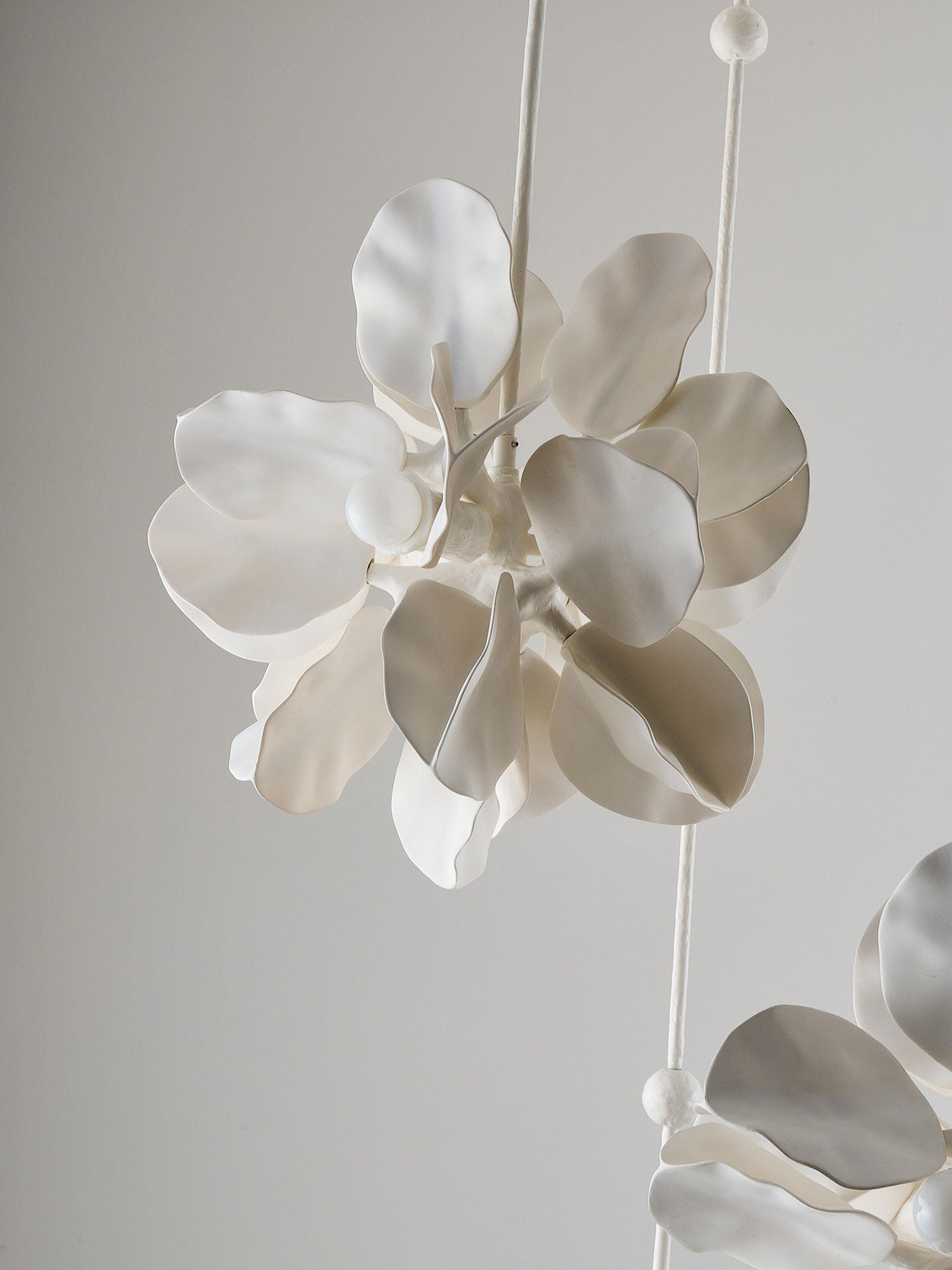 Terienian Chandelier