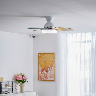 Eireise Colorful Glass Kids Ceiling Fan Light