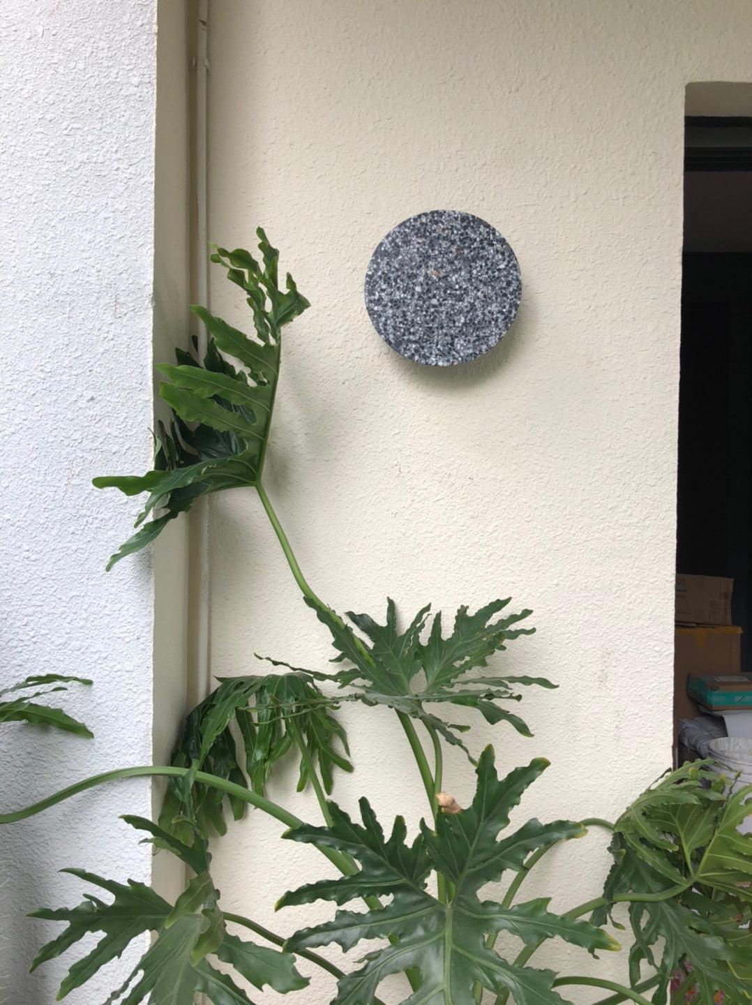 Oreleella Wall Lamp