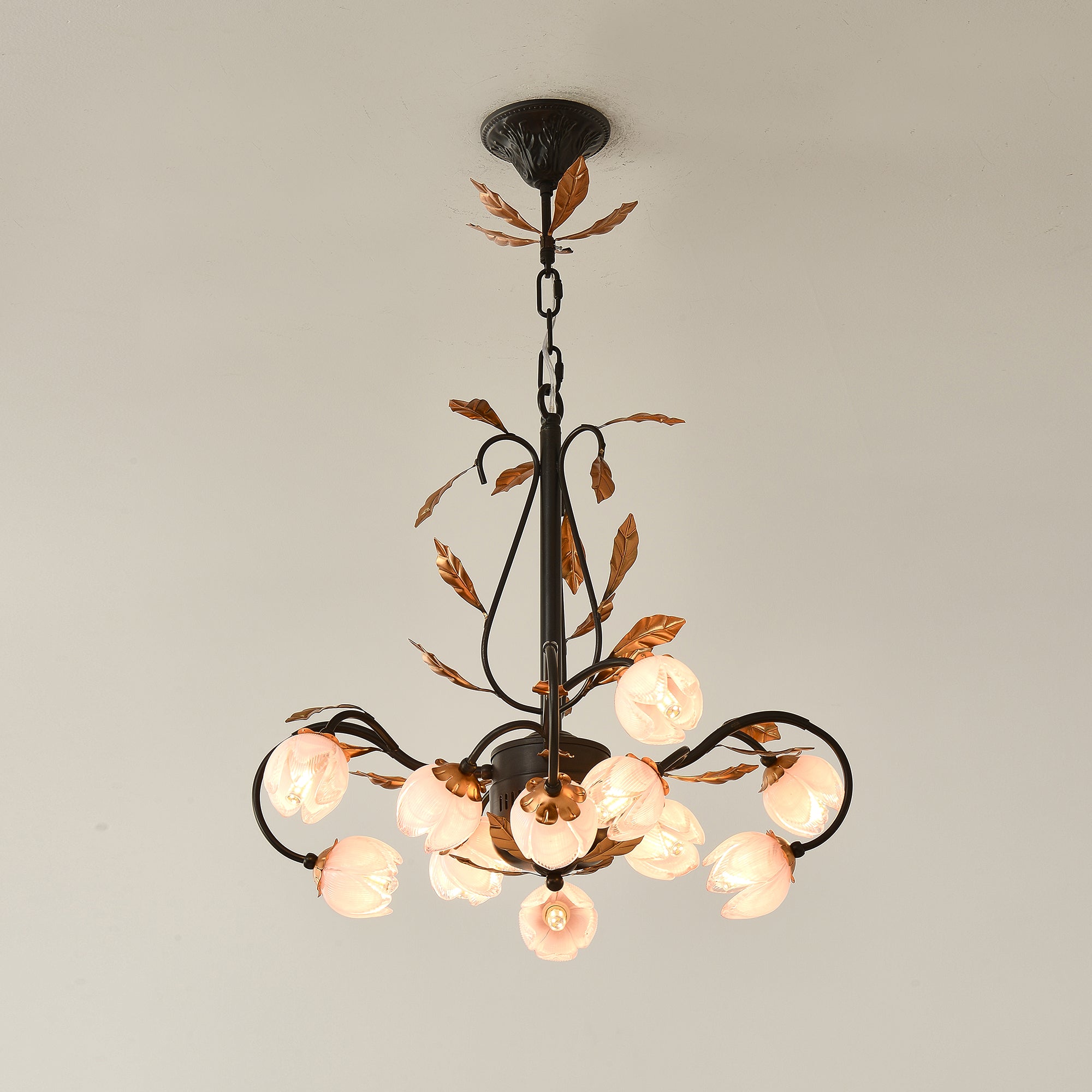 Sorirena Chandelier