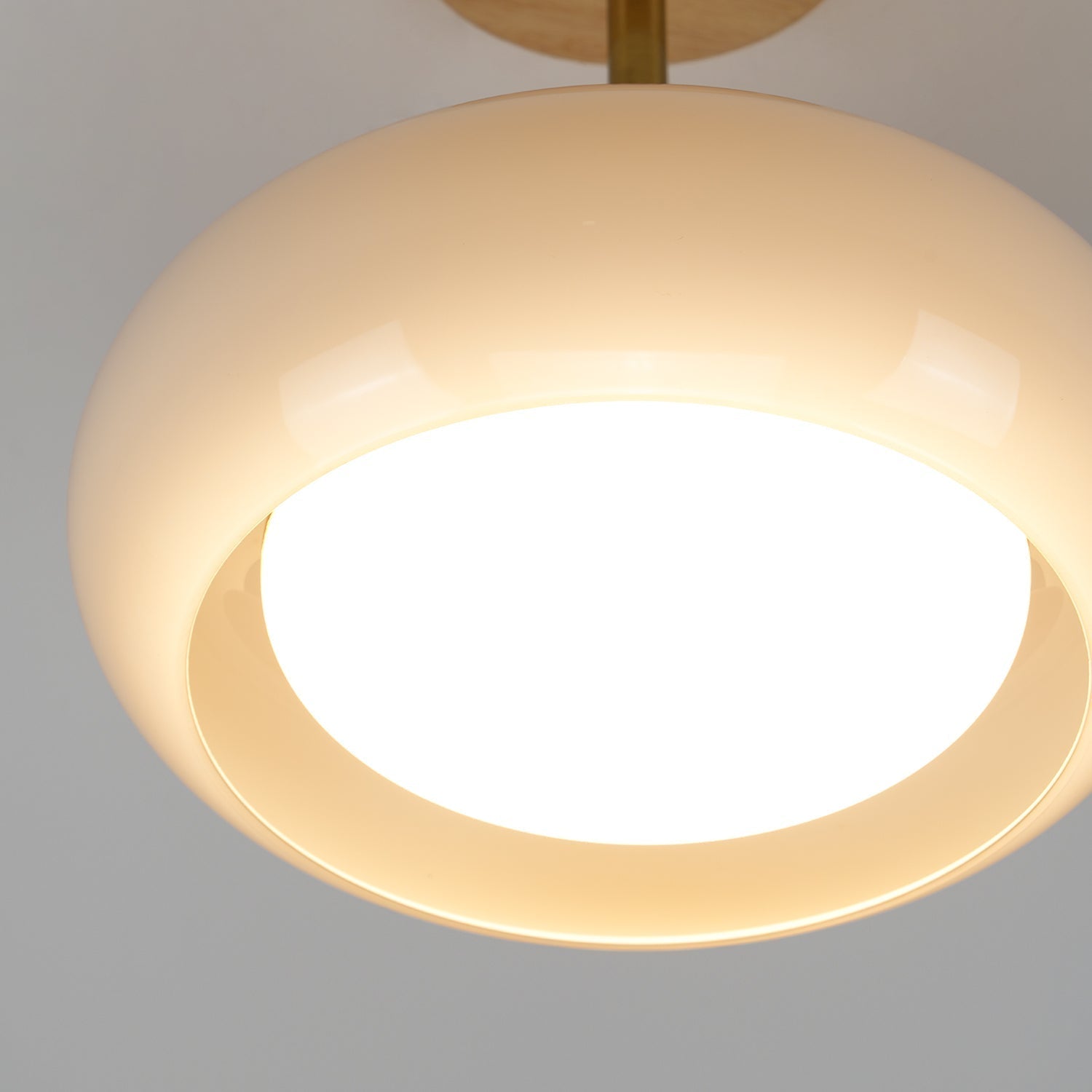 Aldaline Ceiling Lamp Glass and Wood Color Shade