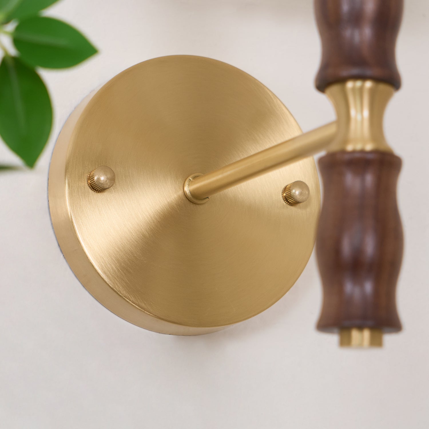 Lucienne Walnut Indoor Wall Light