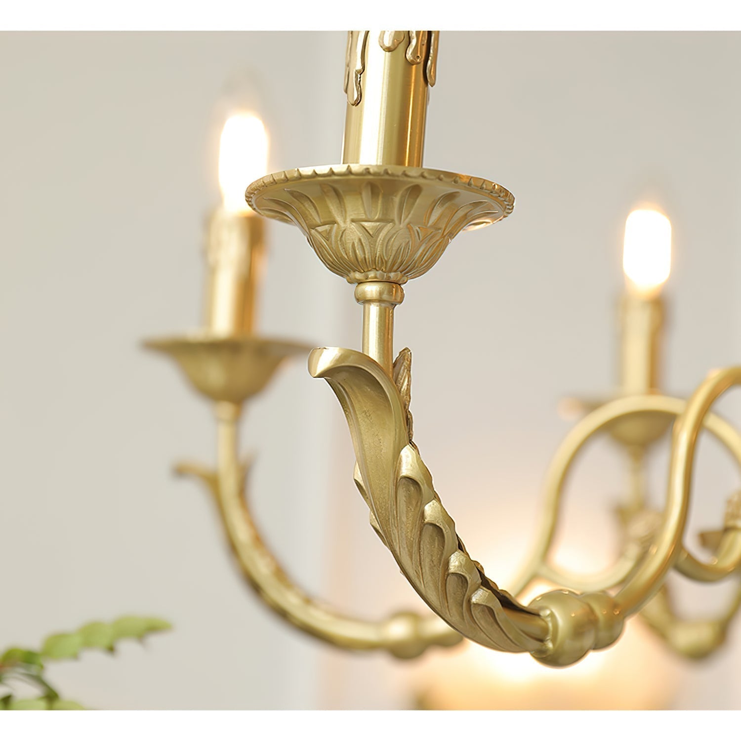 Teriirian Chandelier