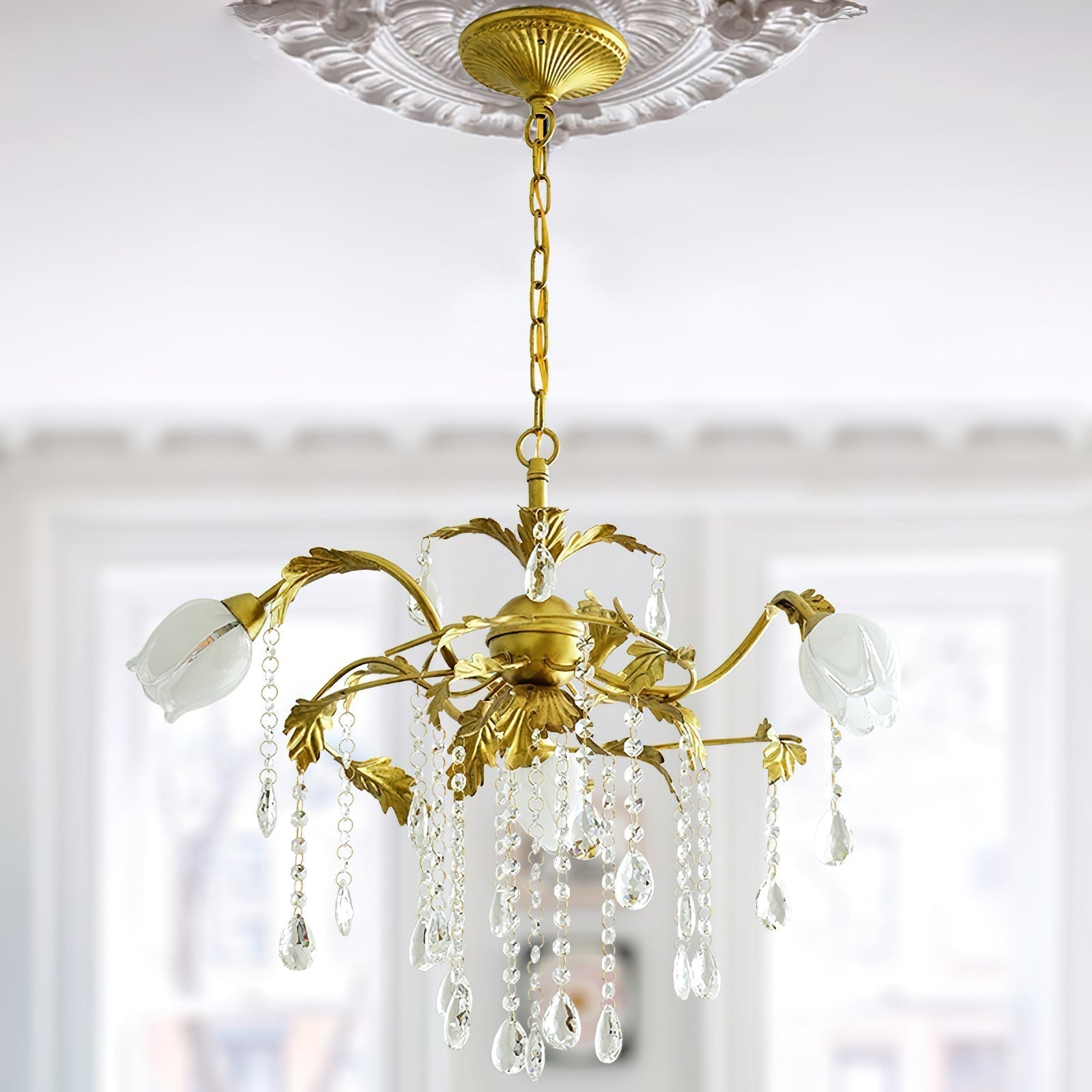 Vasorus Chandelier