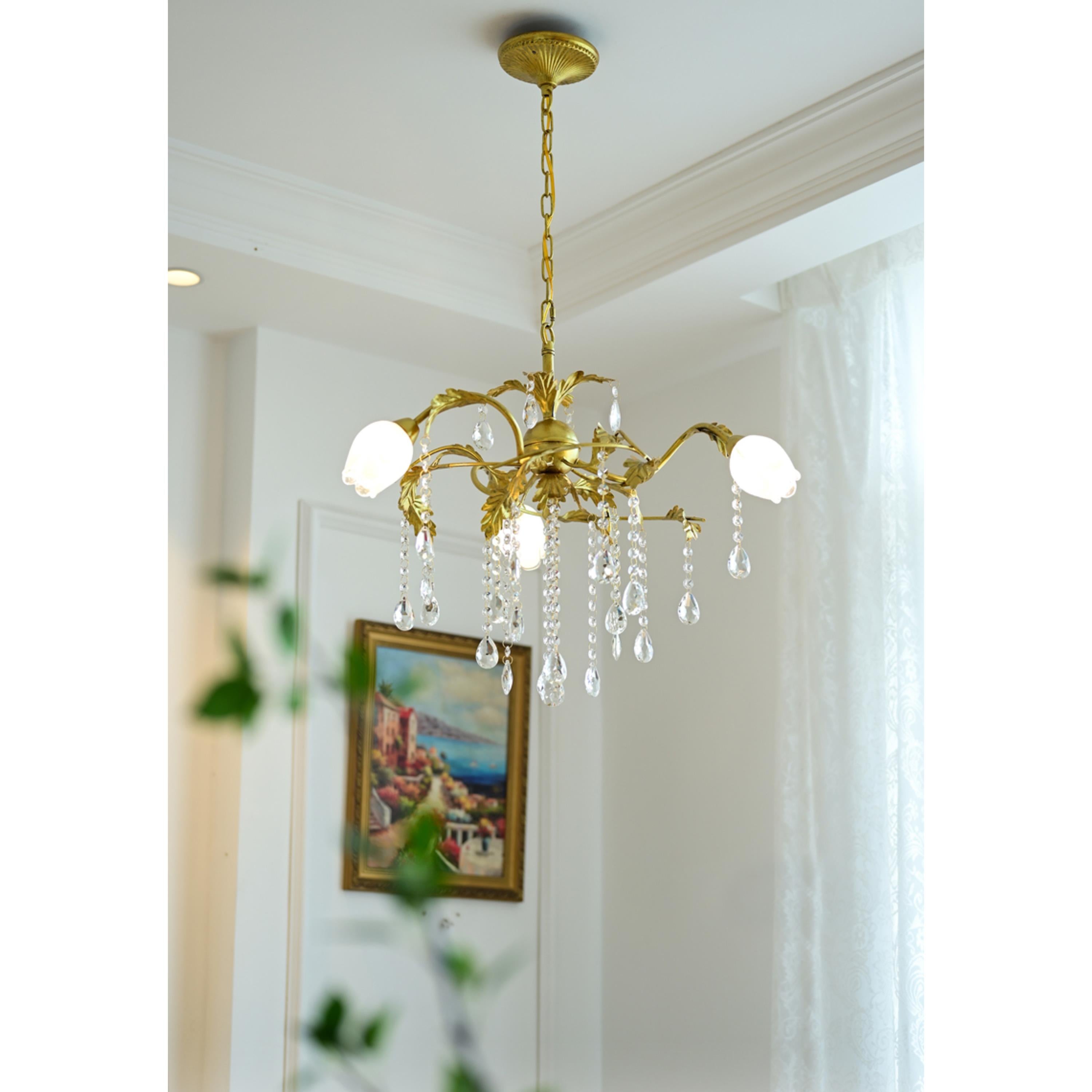 Vasorus Chandelier
