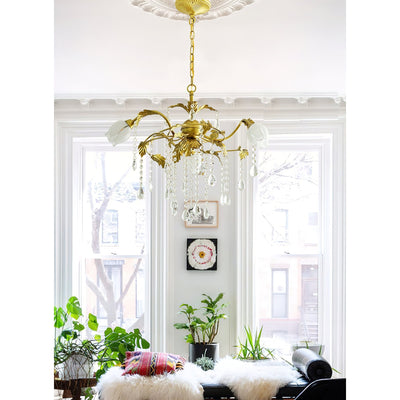 Vasorus Chandelier