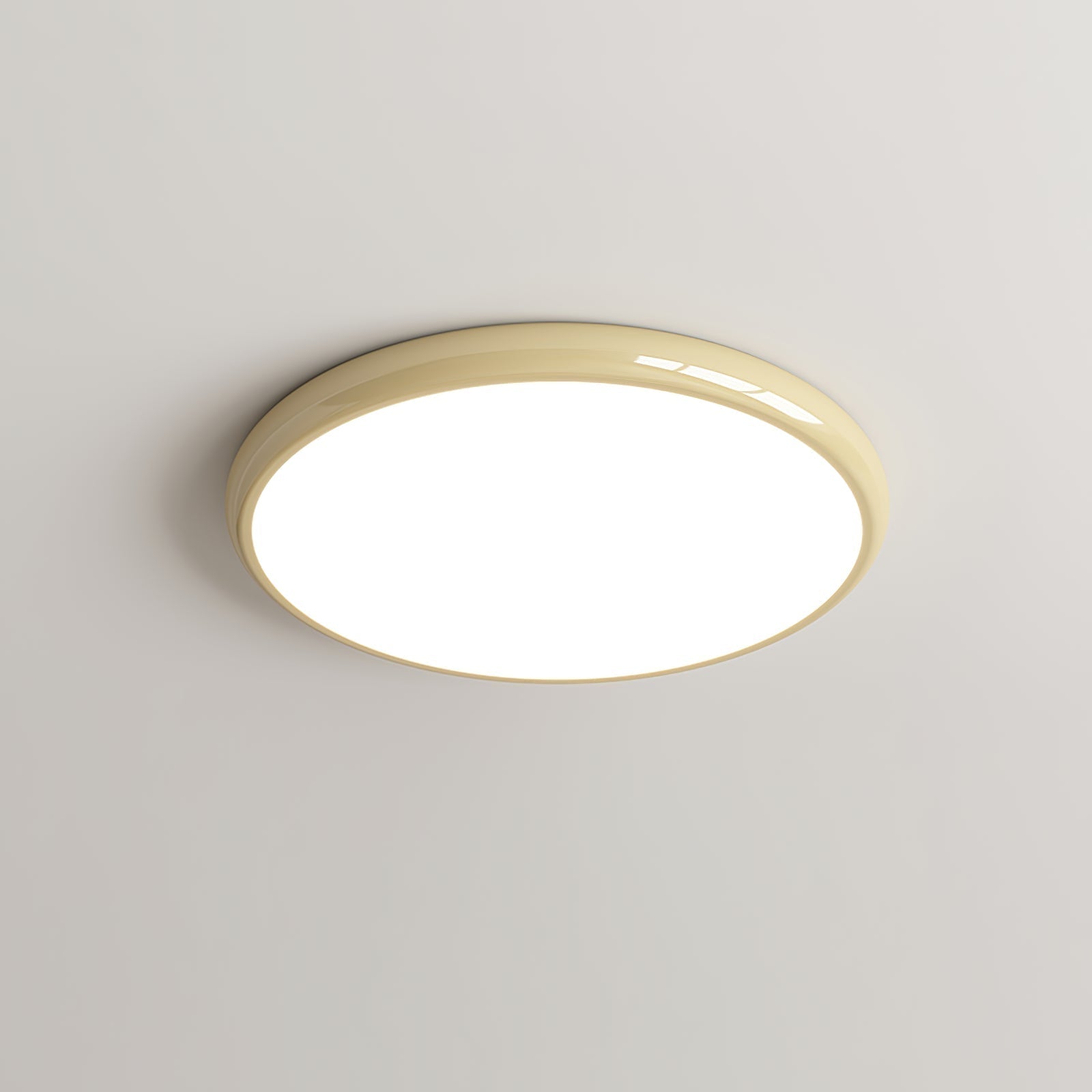 Sorinel Ceiling Light