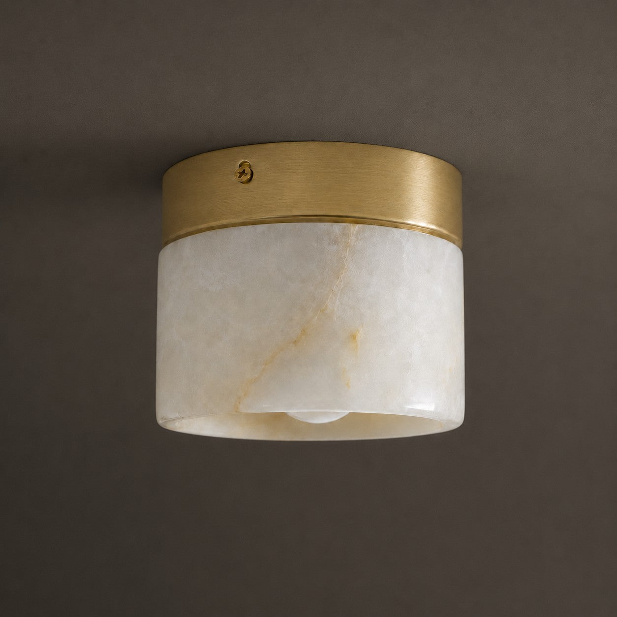 Velorella Ceiling Light