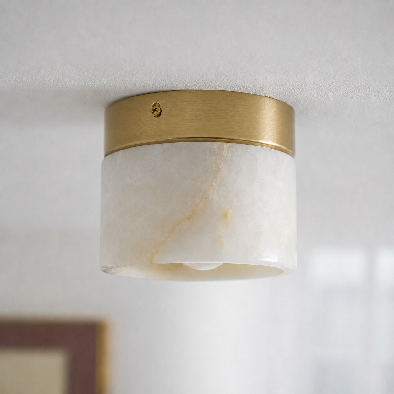 Velorella Ceiling Light