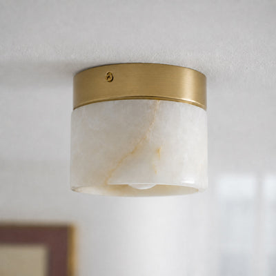 Velorella Ceiling Light