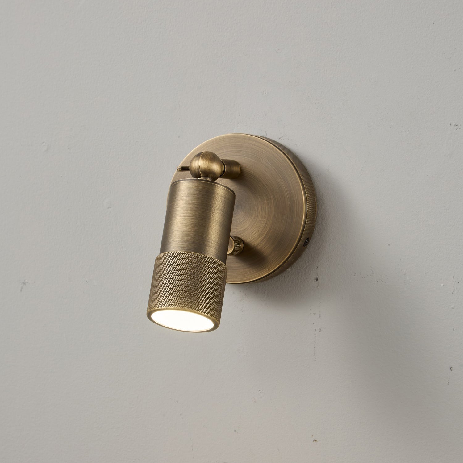 Ardencourt Brass Spotlight Indoor Wall Light