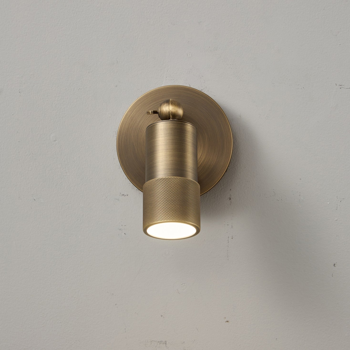 Ardencourt Brass Spotlight Indoor Wall Light