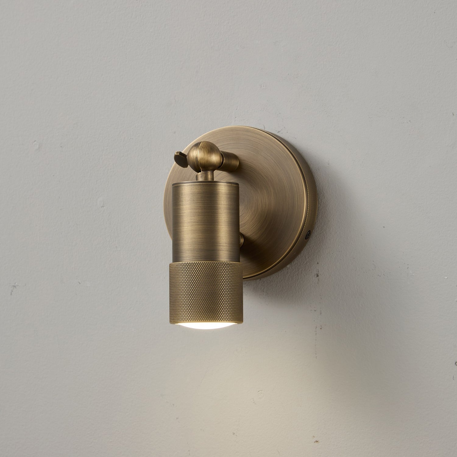 Ardencourt Brass Spotlight Indoor Wall Light