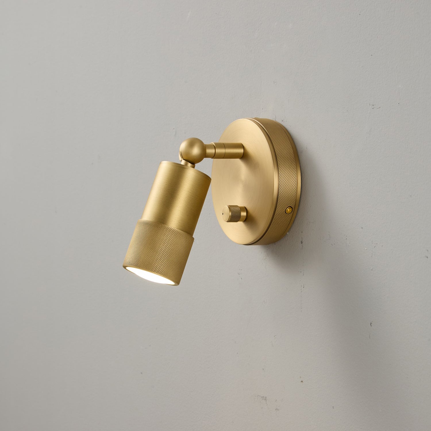 Ardencourt Brass Spotlight Indoor Wall Light