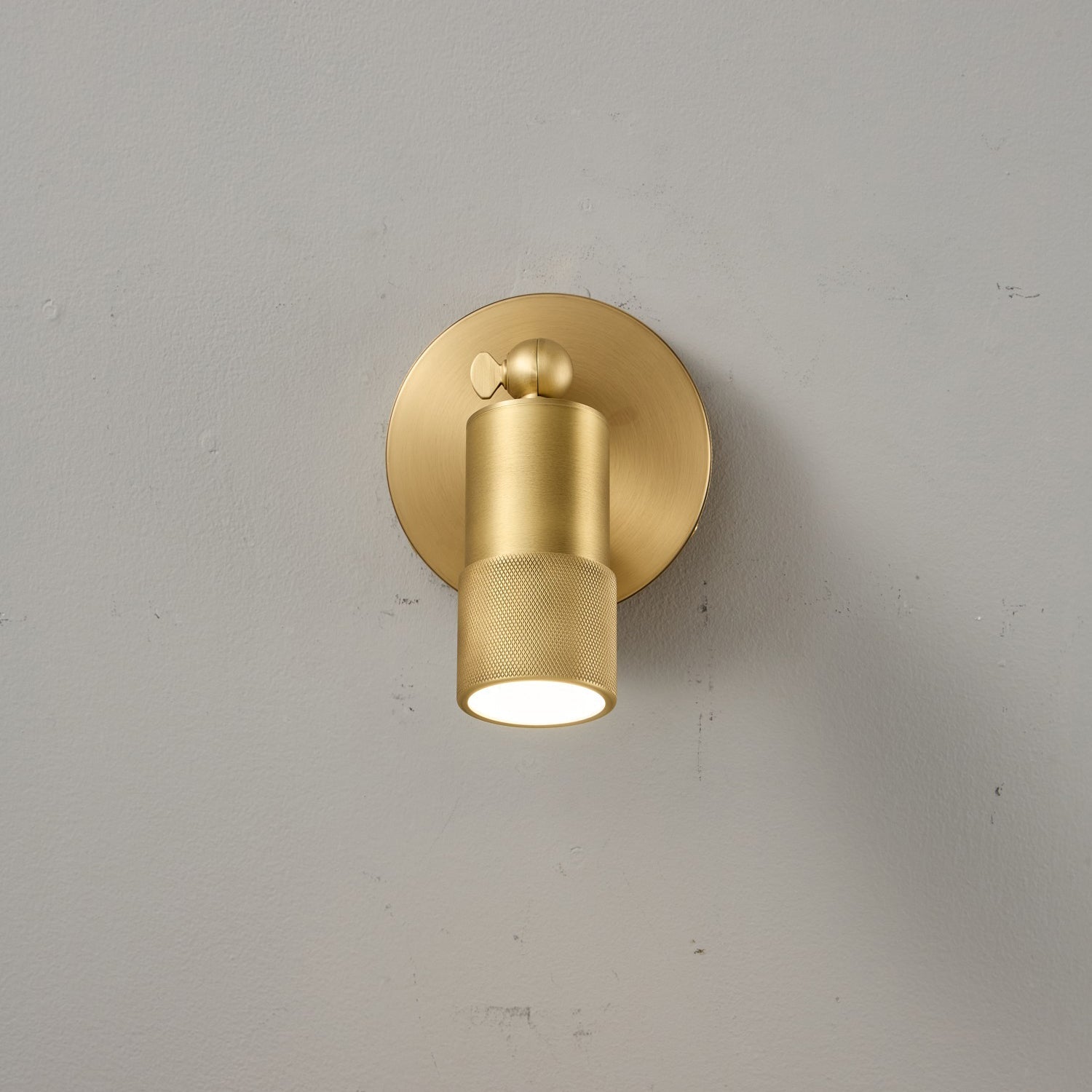 Ardencourt Brass Spotlight Indoor Wall Light