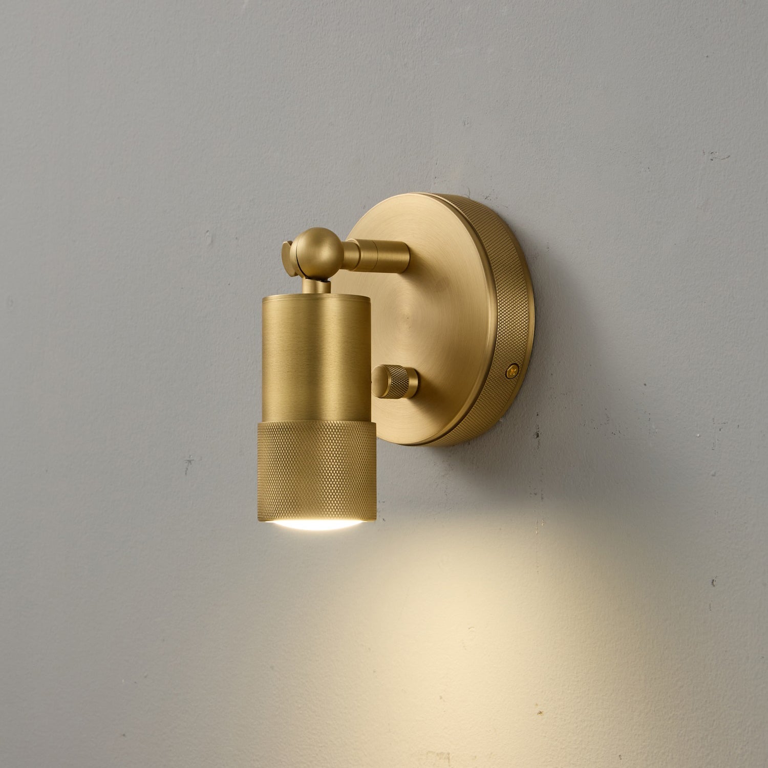 Ardencourt Brass Spotlight Indoor Wall Light