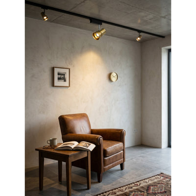 Kiann Track Light