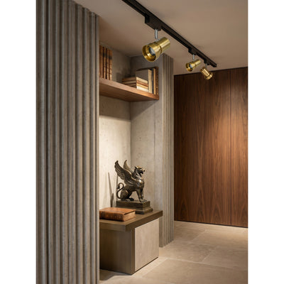 Kiann Track Light