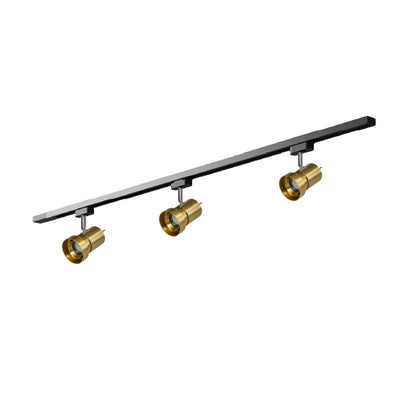 Kiann Track Light