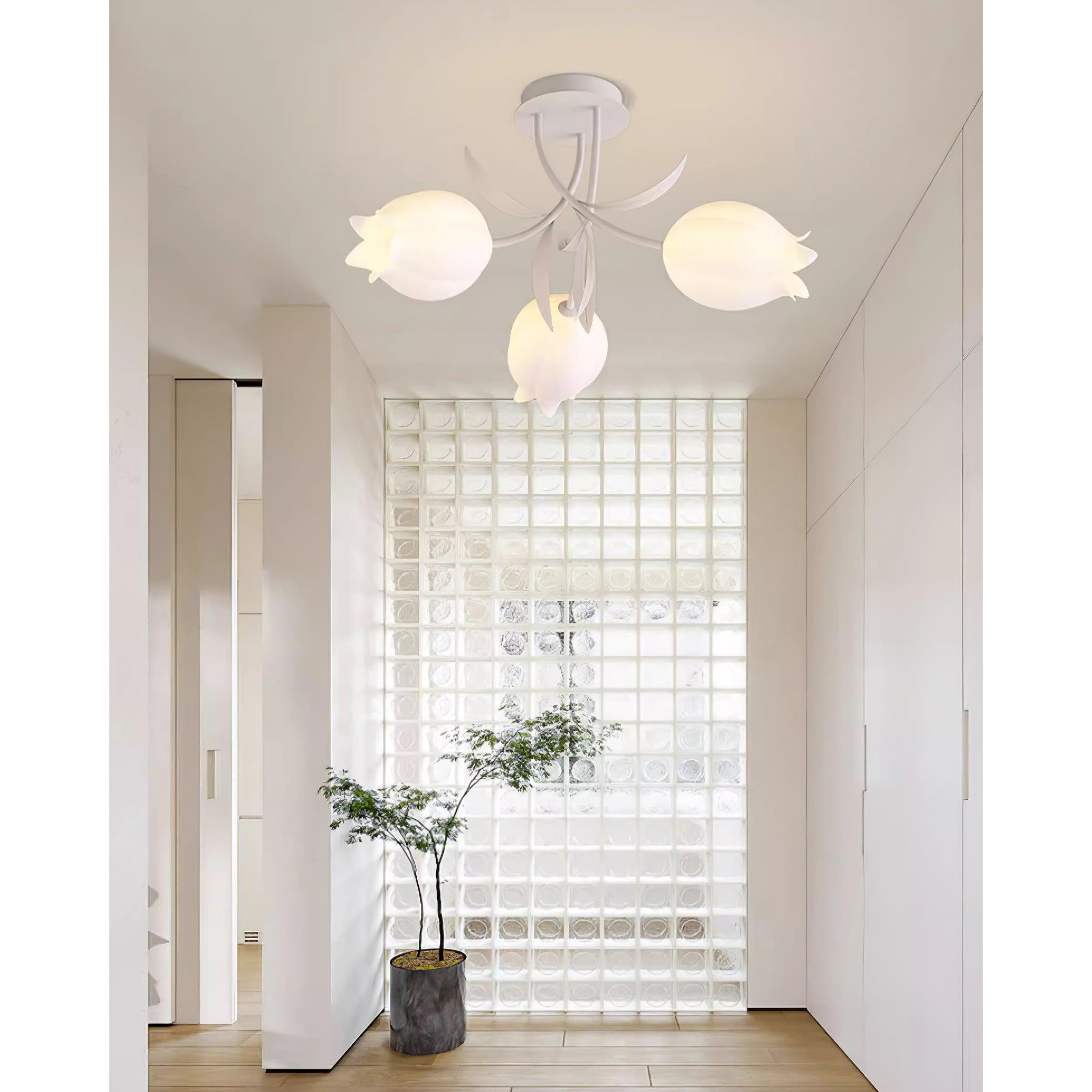 Lumoriella Ceiling Lamp