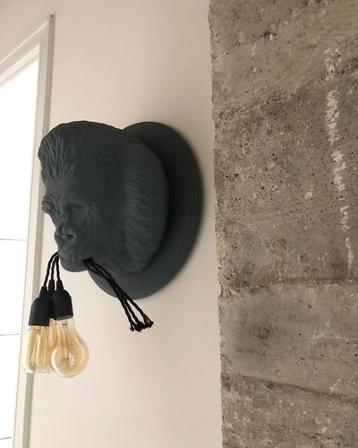 Emlen Premium Elegance Resin Sconce Wall Lamp