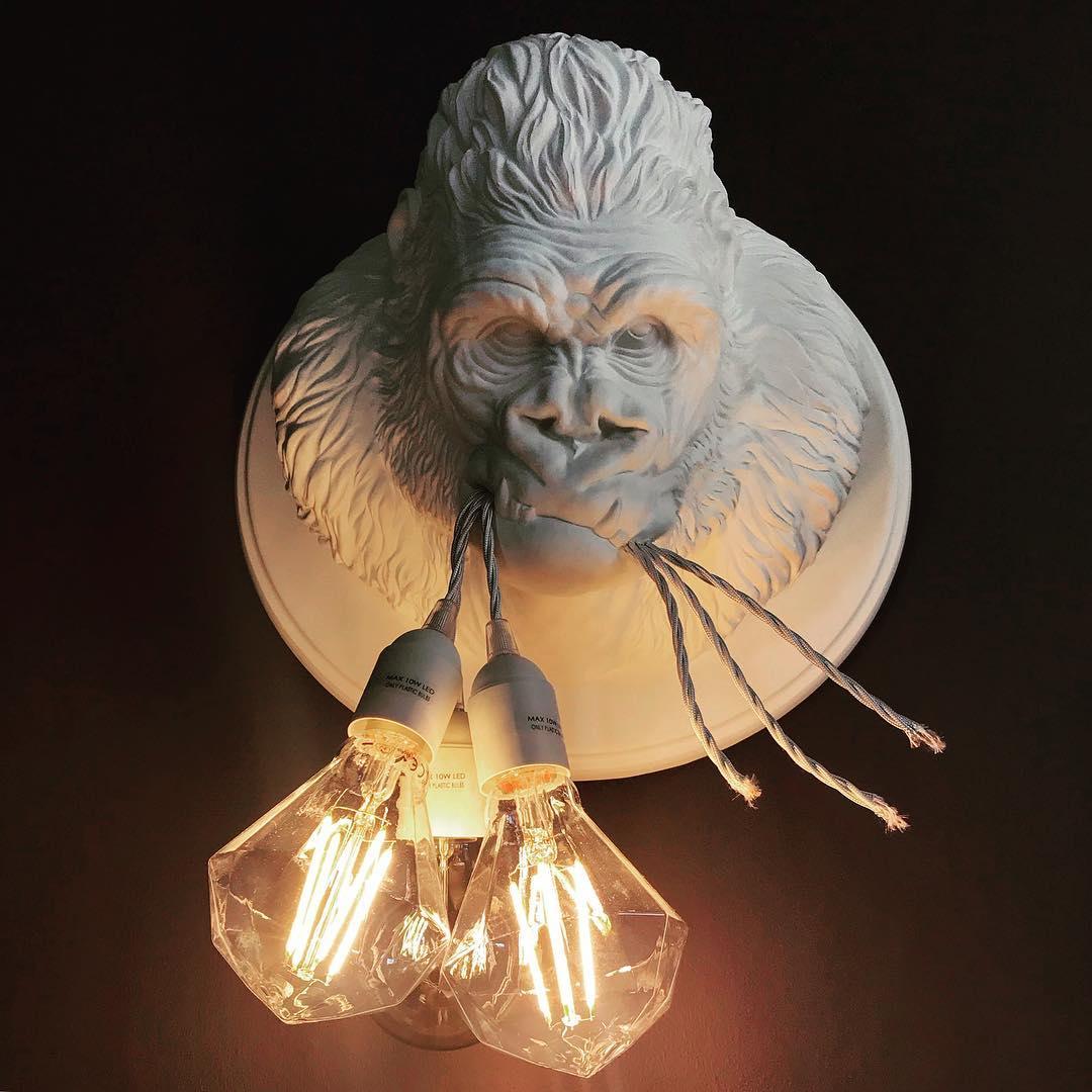 Emlen Premium Elegance Resin Sconce Wall Lamp