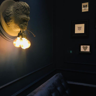 Emlen Premium Elegance Resin Sconce Wall Lamp