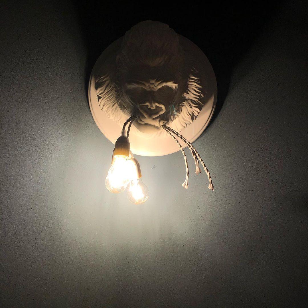 Emlen Premium Elegance Resin Sconce Wall Lamp