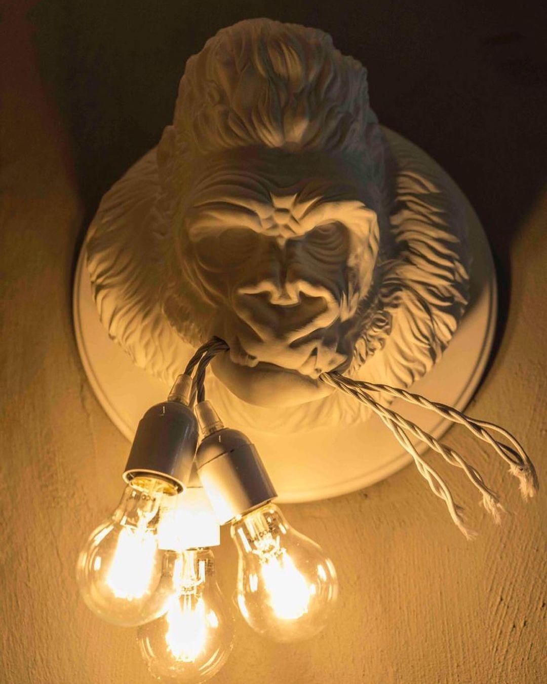 Emlen Premium Elegance Resin Sconce Wall Lamp