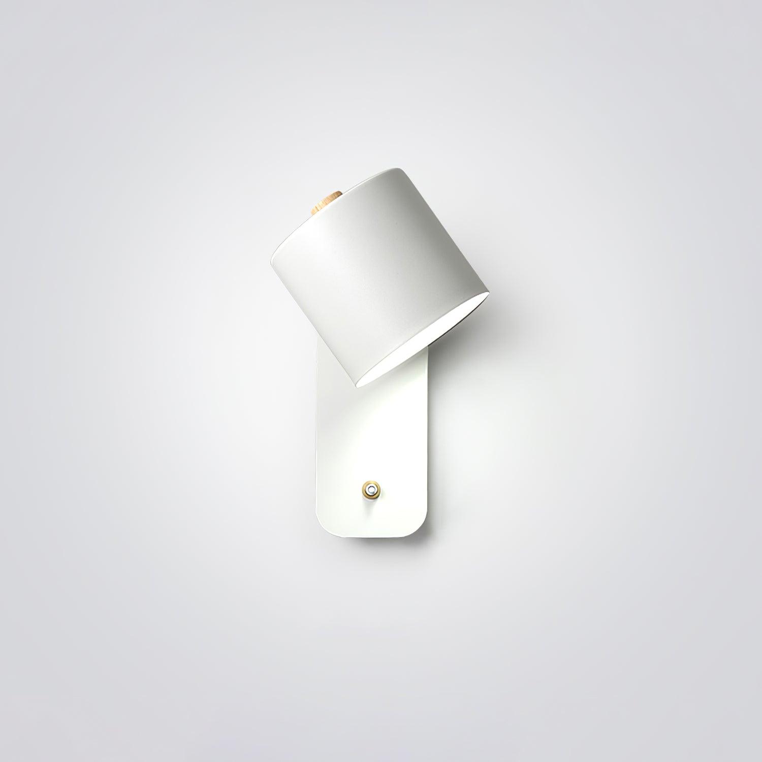 Lumiford Rotatable Cylinder Indoor Wall Light