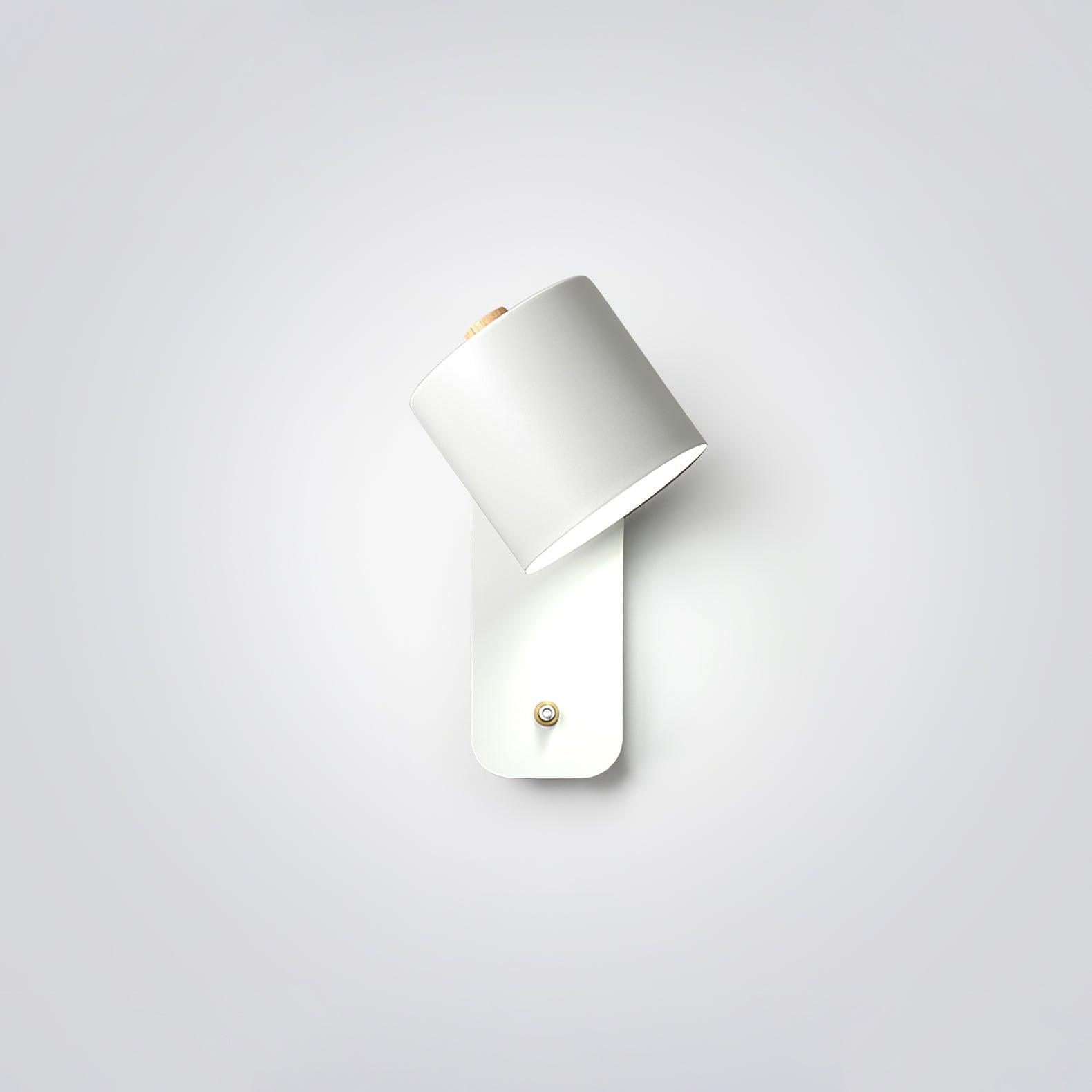Lumiford Rotatable Cylinder Indoor Wall Light