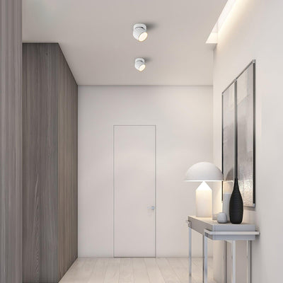 Keveny Spotlight Aluminum Ribbed Rotatable Minimalist