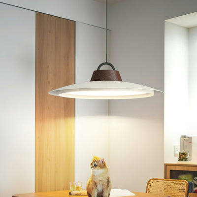 Liorivaine Modern Pendant Light