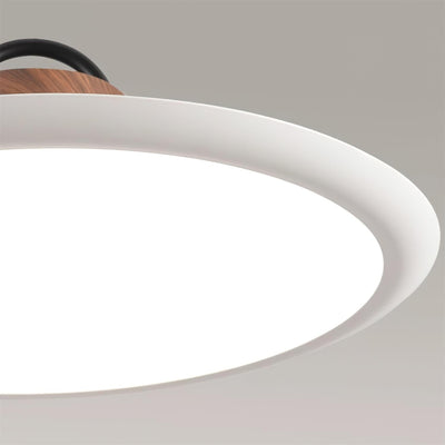 Liorivaine Modern Pendant Light