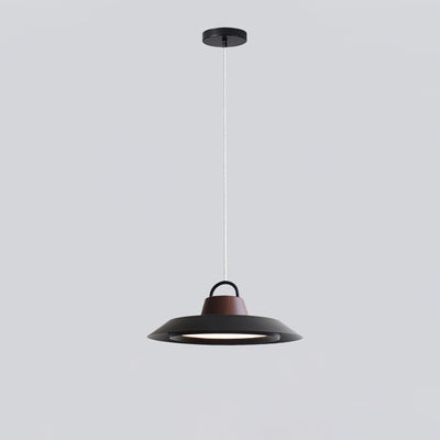 Liorivaine Modern Pendant Light