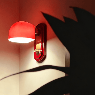 Valeview Dome Indoor Wall Light