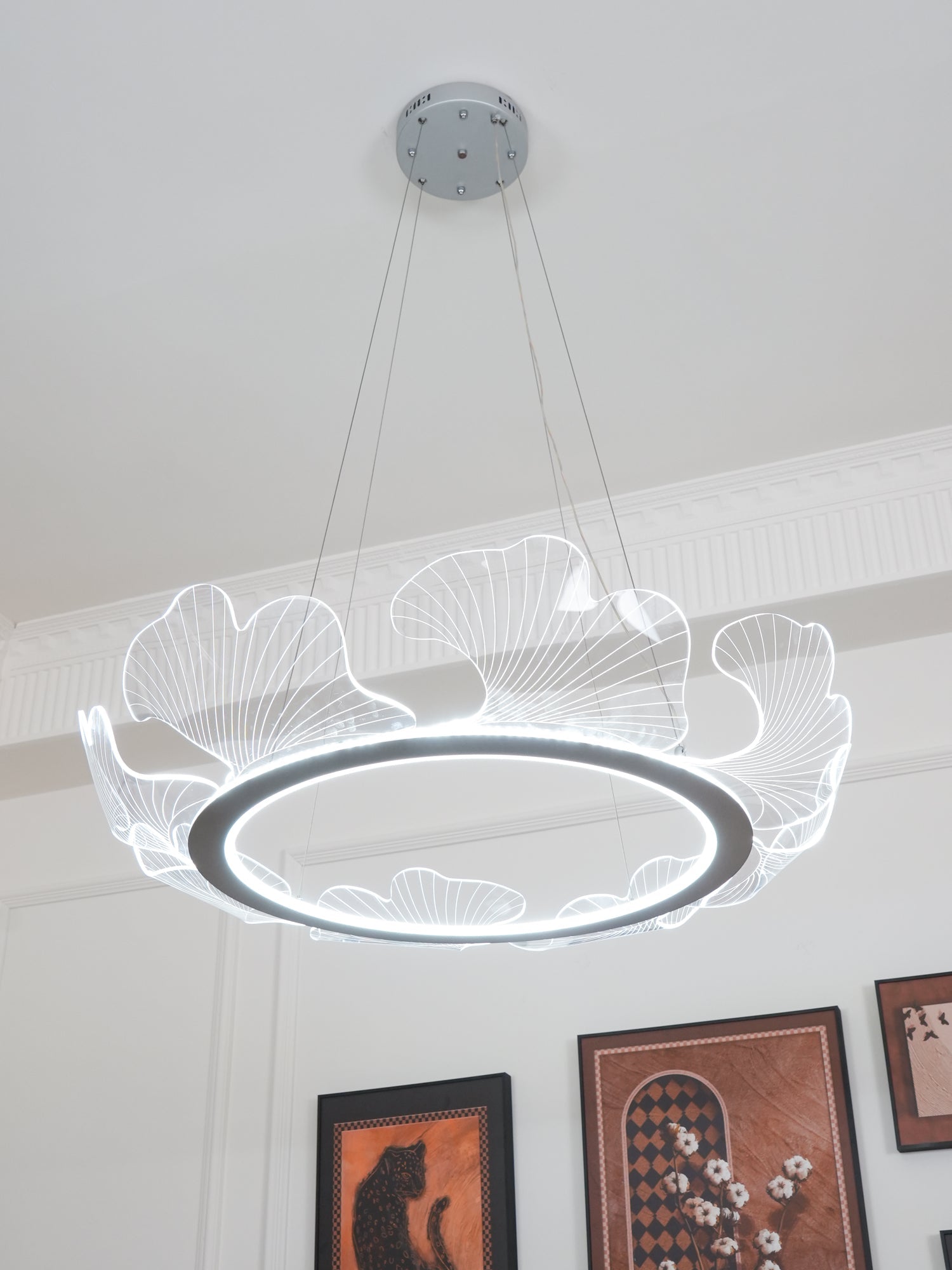 Lucisora Pendant Lamp Frosted Acrylic Floral Ring