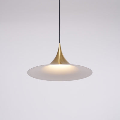 Valerira Steel Sculptural Pendant Light