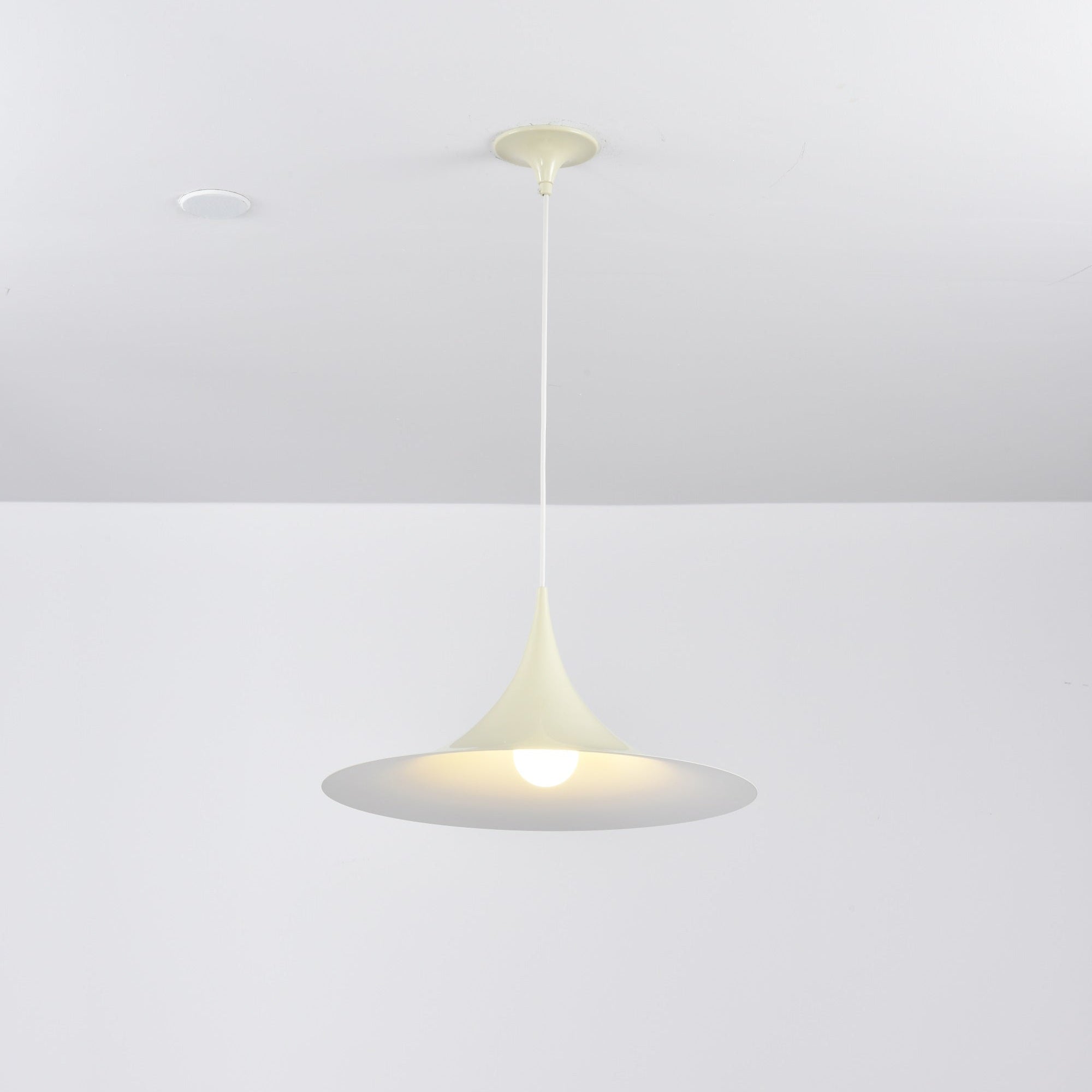 Lioreina Swag Pendant Light