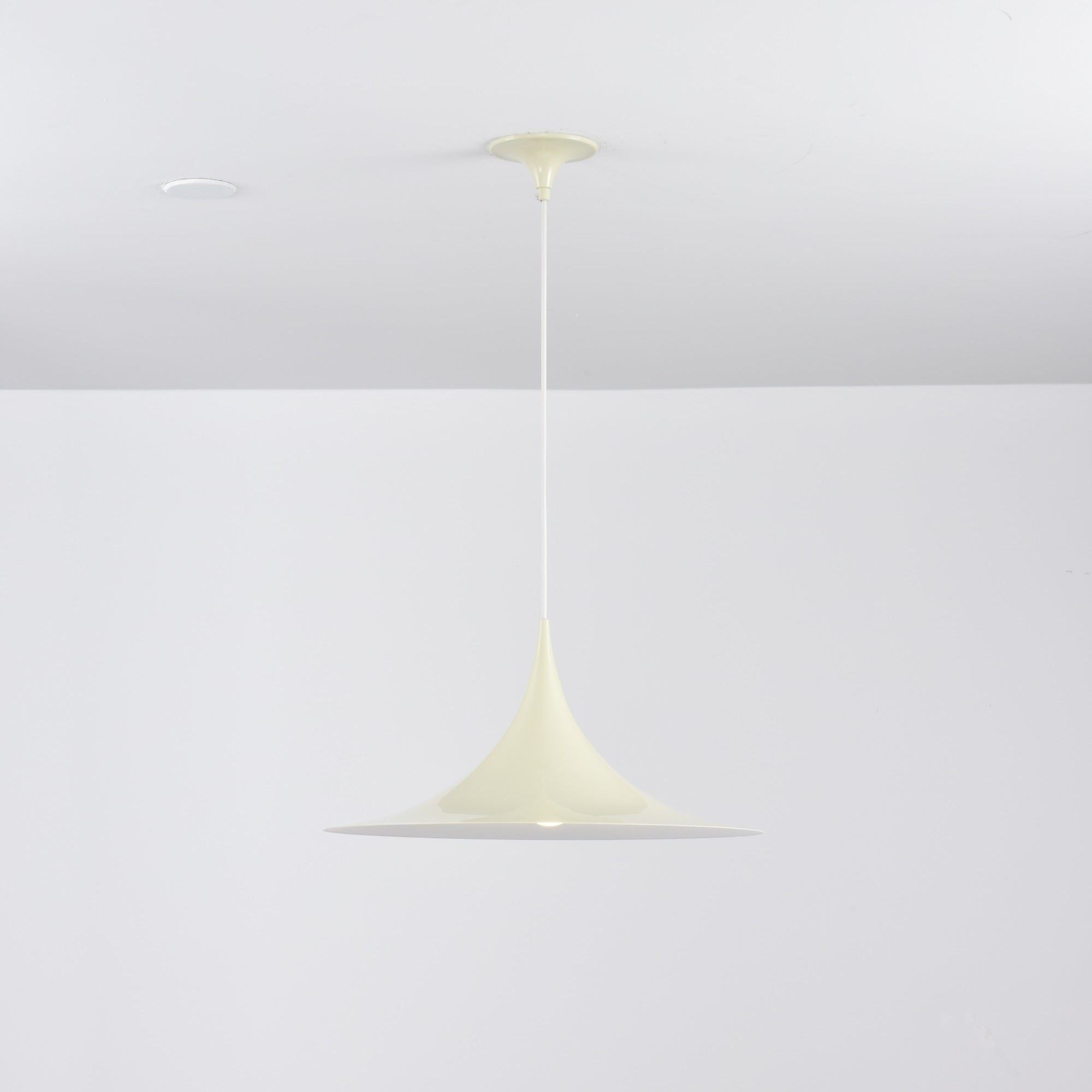Lioreina Swag Pendant Light